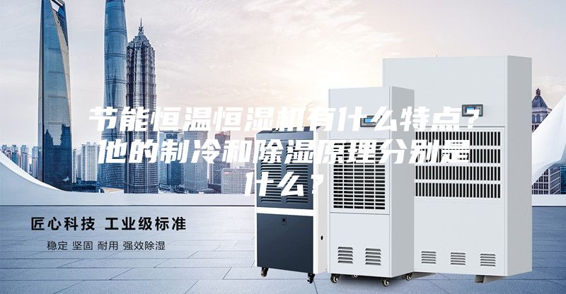節(jié)能恒溫恒濕機有什么特點？他的制冷和除濕原理分別是什么？