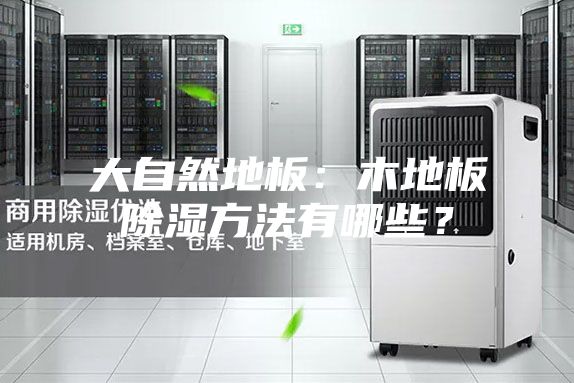 大自然地板：木地板除濕方法有哪些？