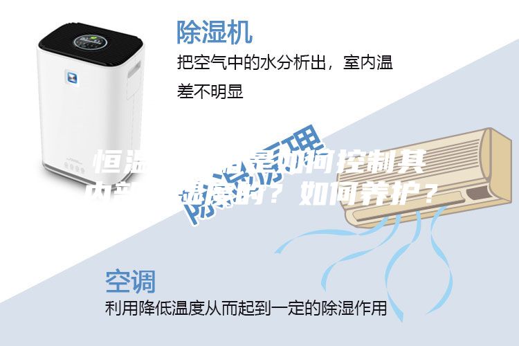 恒溫恒濕箱是如何控制其內部溫濕度的？如何養護？