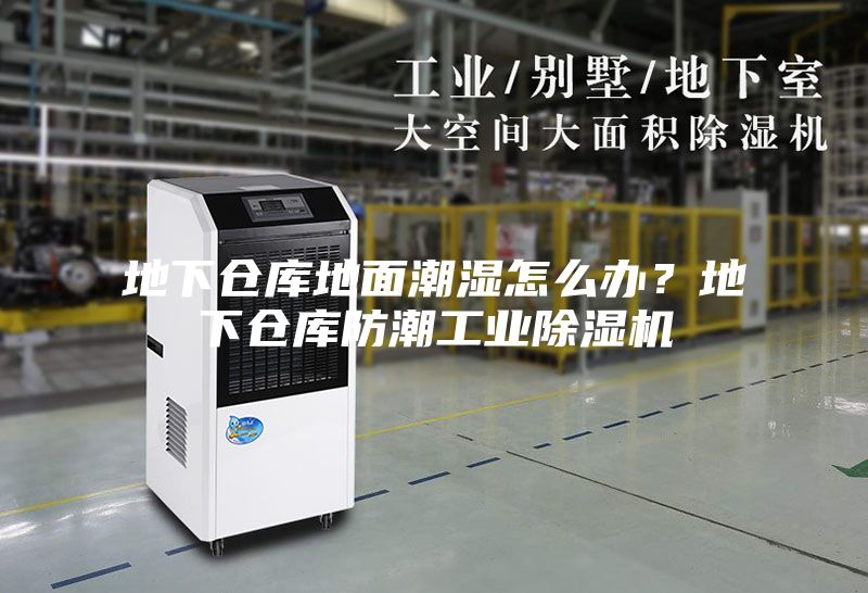 地下倉庫地面潮濕怎么辦？地下倉庫防潮工業除濕機
