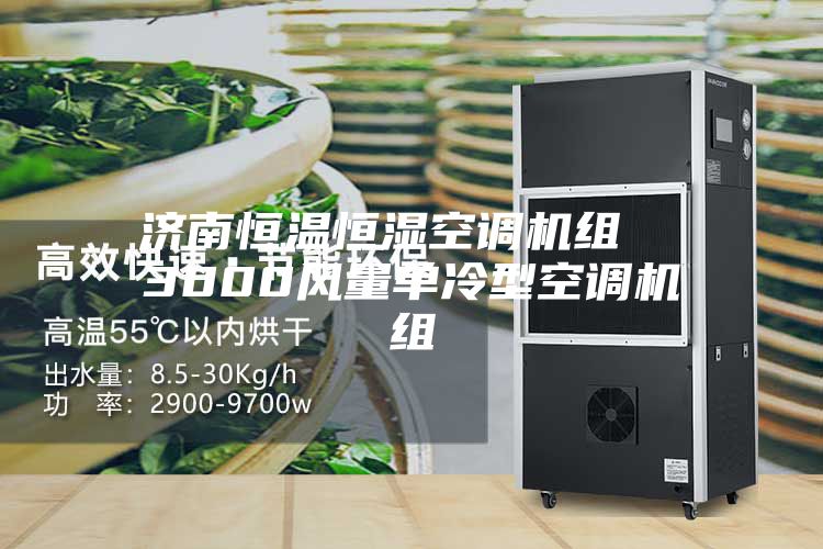 濟(jì)南恒溫恒濕空調(diào)機組  3000風(fēng)量單冷型空調(diào)機組