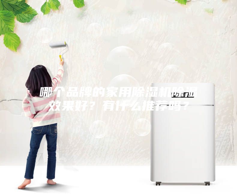 哪個品牌的家用除濕機除濕效果好？有什么推薦嗎？