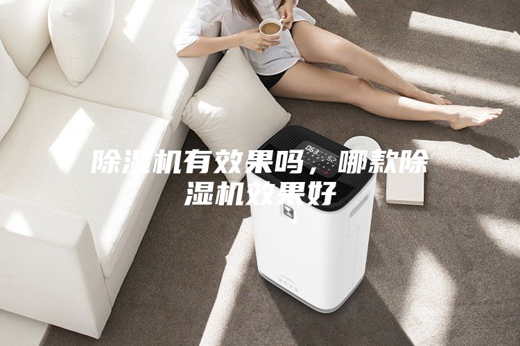 除濕機(jī)有效果嗎，哪款除濕機(jī)效果好