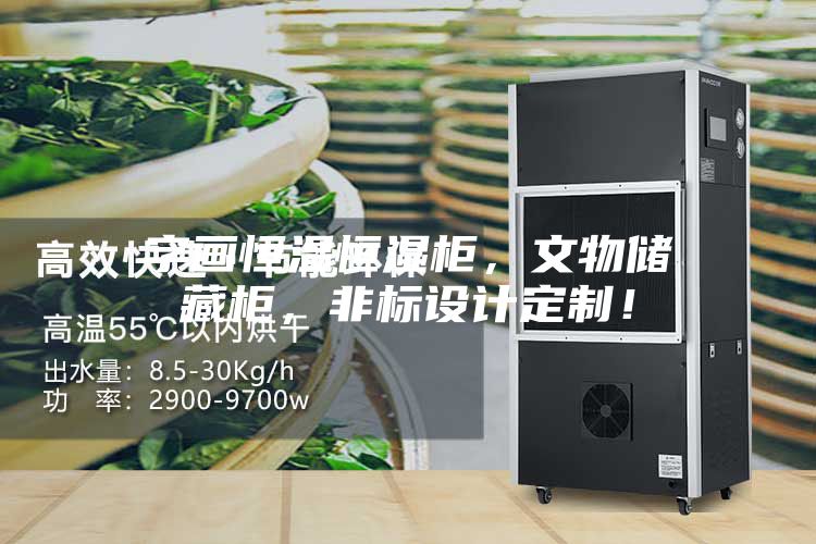 字畫恒溫恒濕柜，文物儲藏柜，非標(biāo)設(shè)計定制！