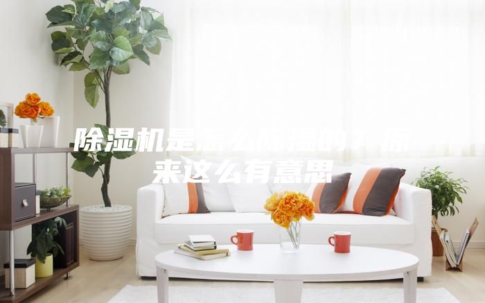 除濕機(jī)是怎么除濕的？原來(lái)這么有意思