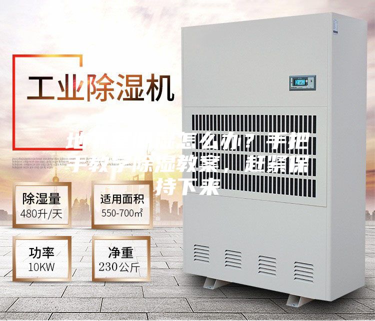 地下室潮濕怎么辦？手把手教學除濕教案，趕緊保持下來