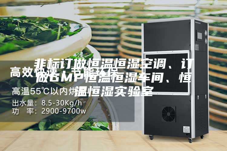 非標訂做恒溫恒濕空調(diào)、訂做GMP恒溫恒濕車間、恒溫恒濕實驗室