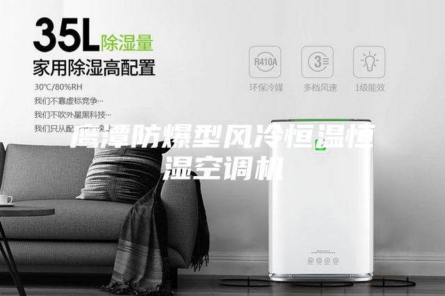 鷹潭防爆型風(fēng)冷恒溫恒濕空調(diào)機