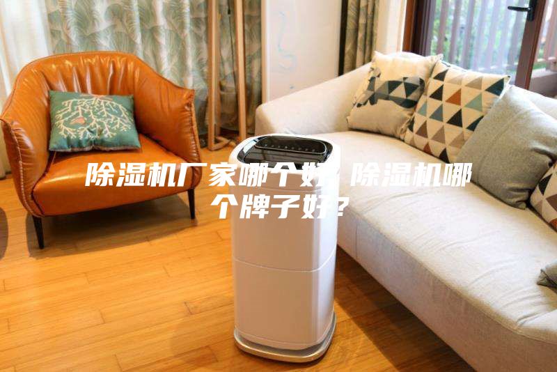 除濕機(jī)廠家哪個好 除濕機(jī)哪個牌子好？