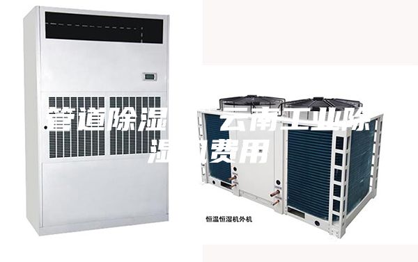 管道除濕機(jī) 云南工業(yè)除濕機(jī)費(fèi)用