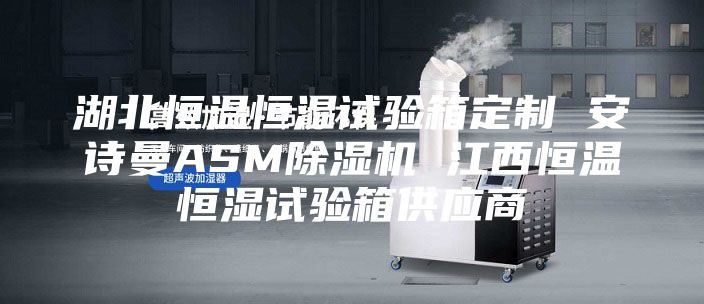 湖北恒溫恒濕試驗(yàn)箱定制 安詩(shī)曼ASM除濕機(jī) 江西恒溫恒濕試驗(yàn)箱供應(yīng)商