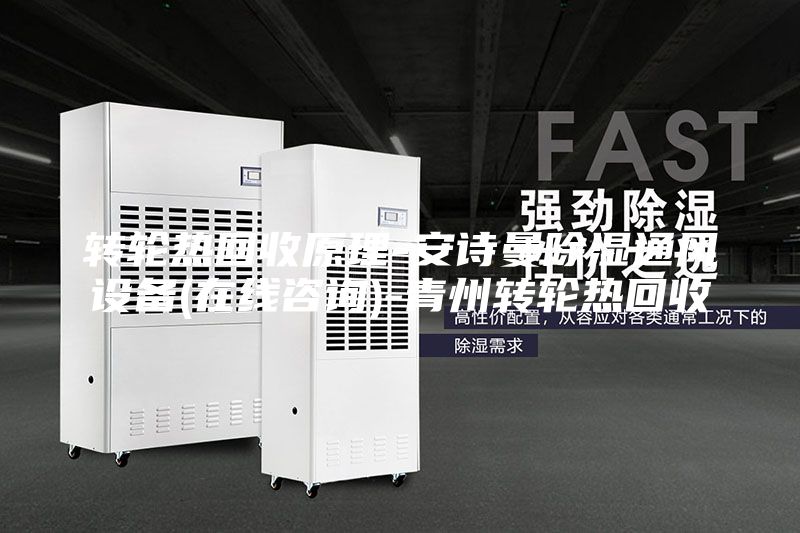 轉輪熱回收原理-安詩曼除濕通風設備(在線咨詢)-青州轉輪熱回收