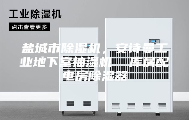 鹽城市除濕機，安詩曼工業地下室抽濕機  庫房配電房除濕器