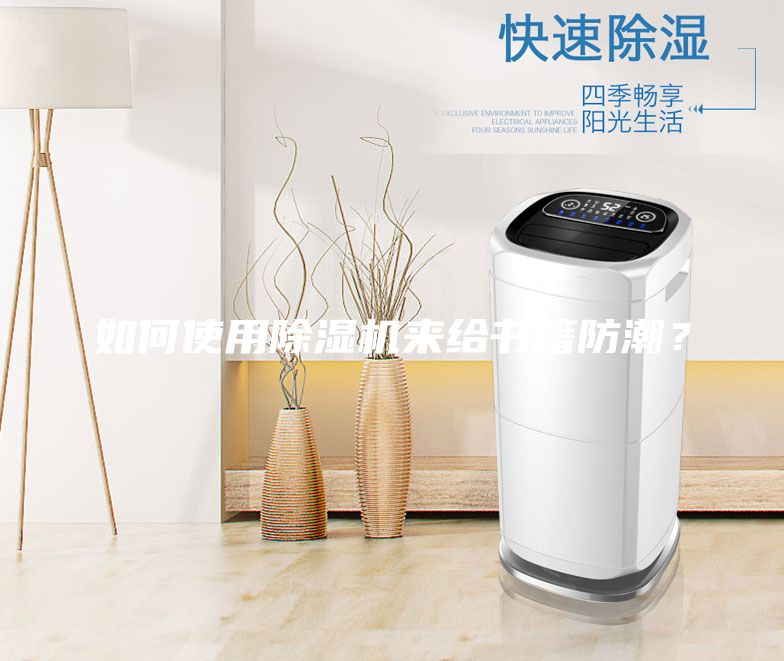 如何使用除濕機來給書籍防潮？