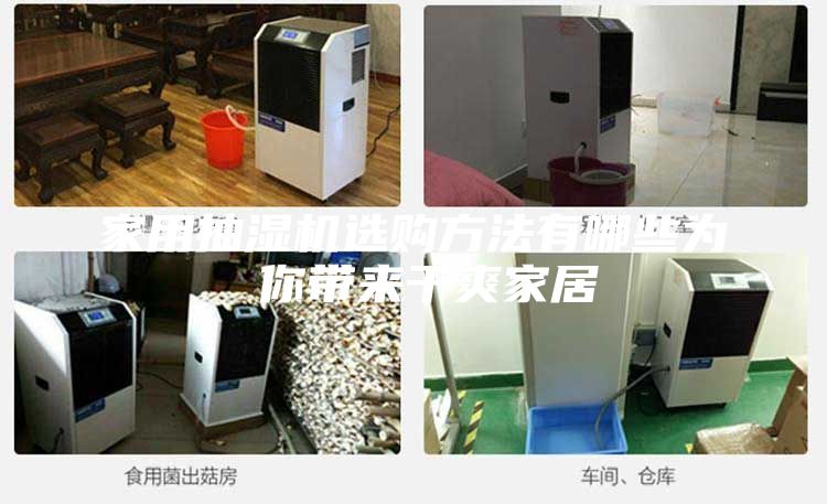 家用抽濕機選購方法有哪些為 你帶來干爽家居