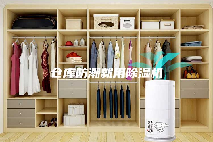 倉庫防潮就用除濕機