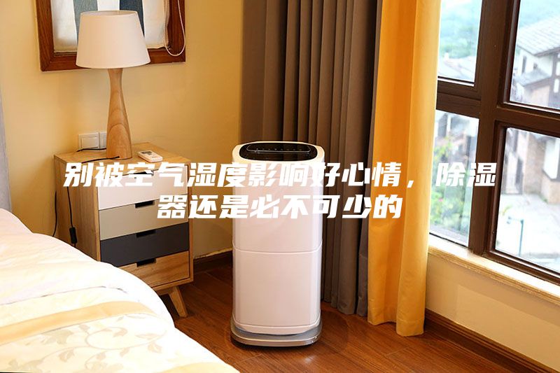 別被空氣濕度影響好心情，除濕器還是必不可少的