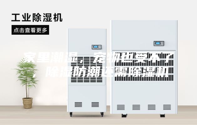 家里潮濕，寵物也受不了，除濕防潮還需除濕機