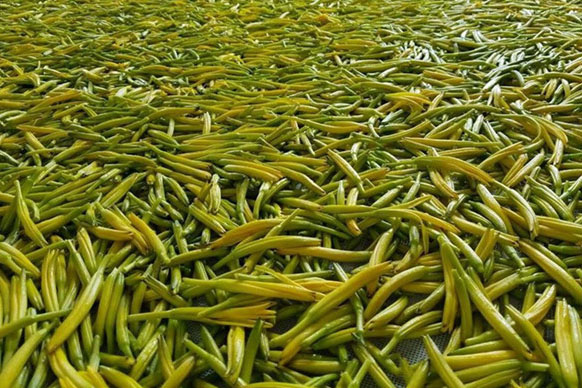 無硫金針菜烘干如何保持品相？不發(fā)黑？_除濕機(jī)廠家