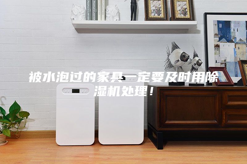 被水泡過的家具一定要及時用除濕機處理！