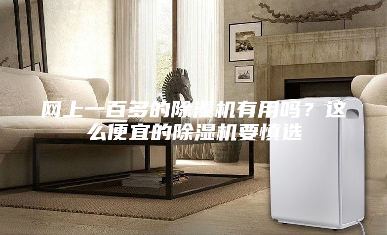 網上一百多的除濕機有用嗎？這么便宜的除濕機要慎選