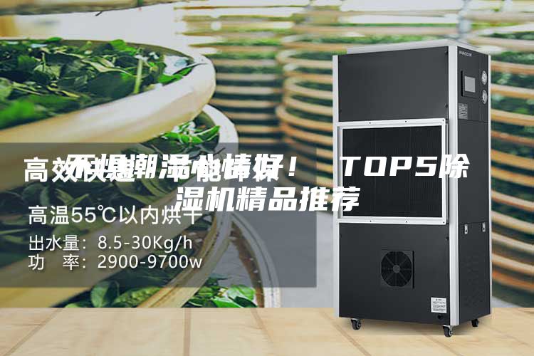 不懼潮濕心情好！ TOP5除濕機精品推薦