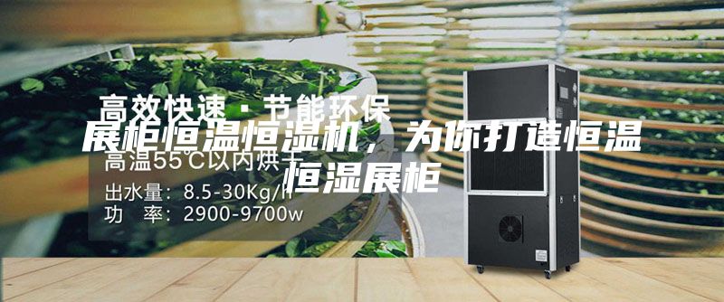 展柜恒溫恒濕機，為你打造恒溫恒濕展柜