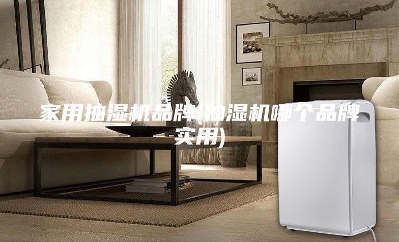 家用抽濕機(jī)品牌(抽濕機(jī)哪個(gè)品牌實(shí)用)