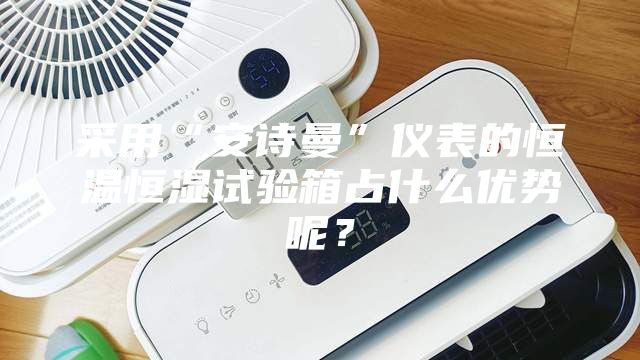 采用“安詩(shī)曼”儀表的恒溫恒濕試驗(yàn)箱占什么優(yōu)勢(shì)呢？