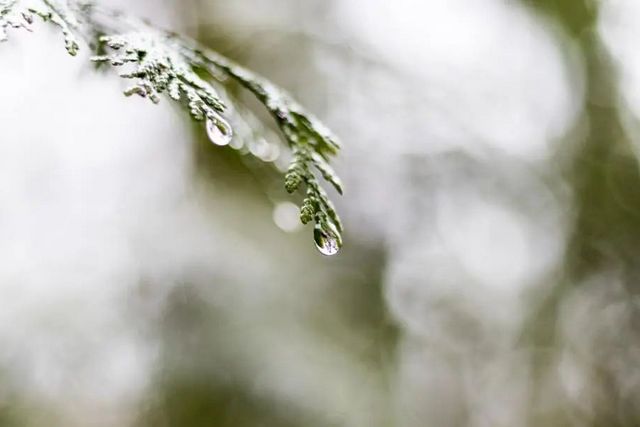 空氣濕度大帶來的危害有哪些，你知道嗎？