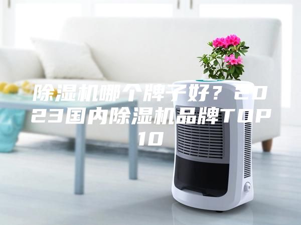 除濕機哪個牌子好？2023國內除濕機品牌TOP10