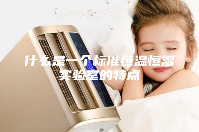什么是一個標準恒溫恒濕實驗室的特點