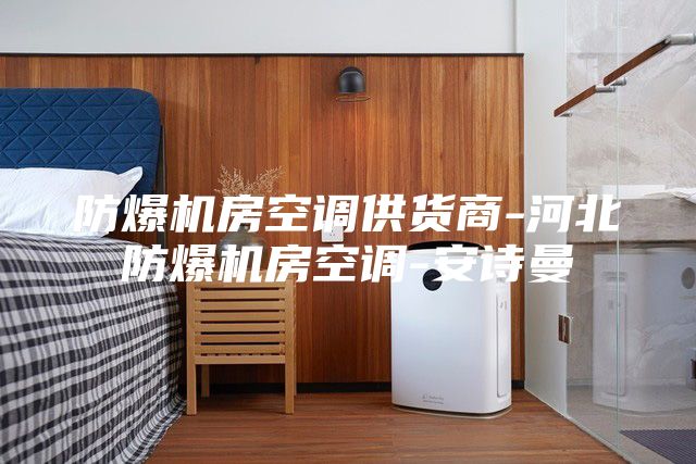 防爆機(jī)房空調(diào)供貨商-河北防爆機(jī)房空調(diào)-安詩(shī)曼