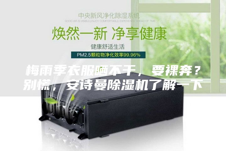 梅雨季衣服曬不干，要裸奔？別慌，安詩曼除濕機了解一下