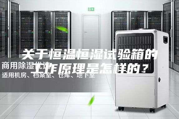 關(guān)于恒溫恒濕試驗箱的工作原理是怎樣的？