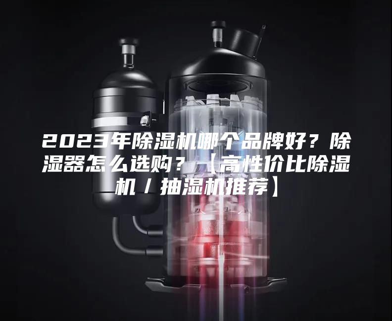 2023年除濕機哪個品牌好？除濕器怎么選購？【高性價比除濕機／抽濕機推薦】