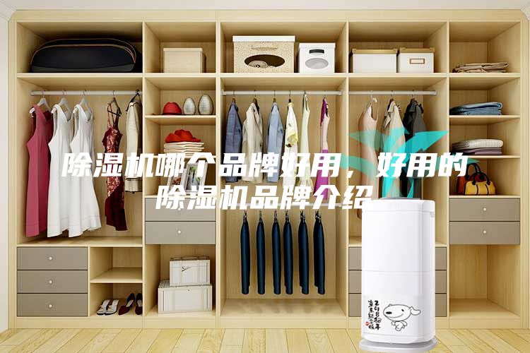 除濕機(jī)哪個品牌好用，好用的除濕機(jī)品牌介紹
