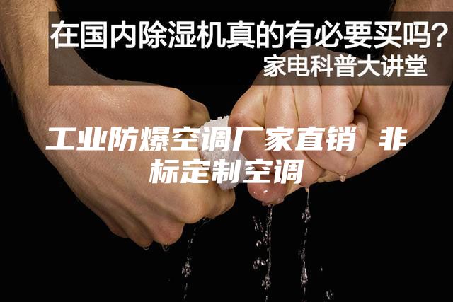 工業(yè)防爆空調(diào)廠家直銷 非標定制空調(diào)