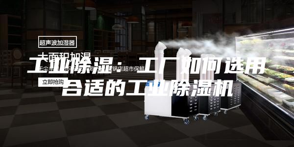 工業除濕：工廠如何選用合適的工業除濕機