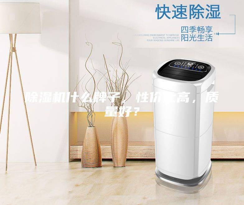 除濕機什么牌子，性價比高，質量好？