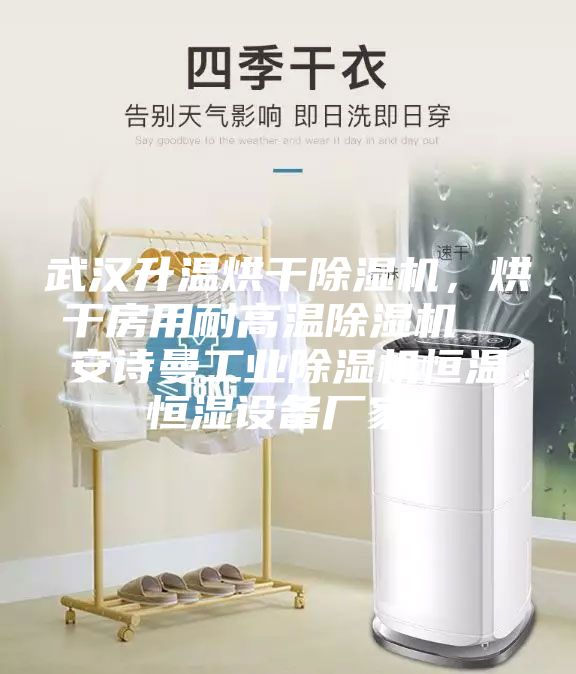 武漢升溫烘干除濕機，烘干房用耐高溫除濕機  安詩曼工業除濕機恒溫恒濕設備廠家！
