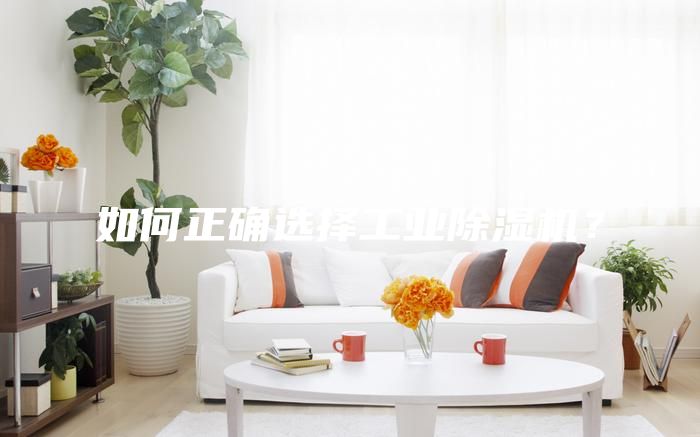 如何正確選擇工業除濕機？