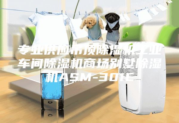 專業(yè)供應(yīng)吊頂除濕機(jī)工業(yè)車間除濕機(jī)商場(chǎng)別墅除濕機(jī)ASM-301E