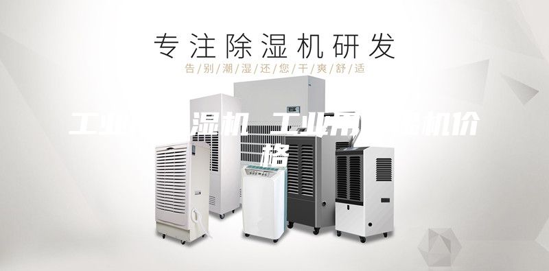 工業(yè)用除濕機(jī) 工業(yè)用除濕機(jī)價格