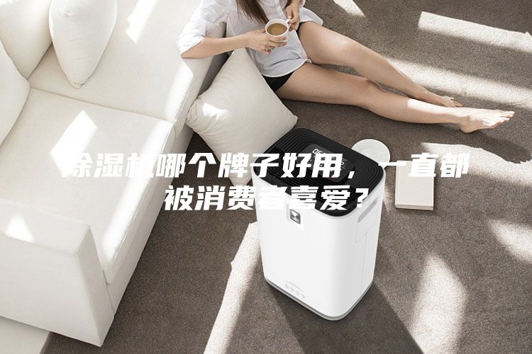 除濕機哪個牌子好用，一直都被消費者喜愛？