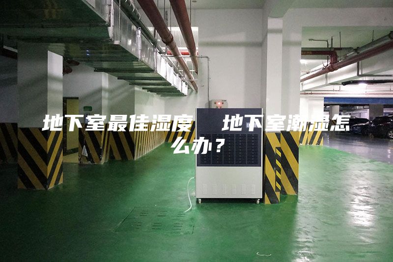 地下室最佳濕度  地下室潮濕怎么辦？