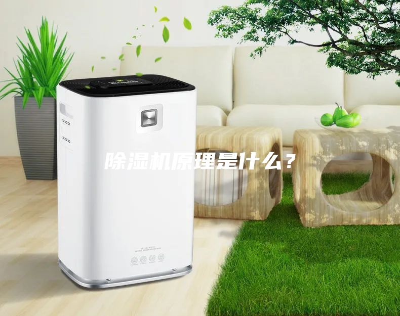 除濕機(jī)原理是什么？