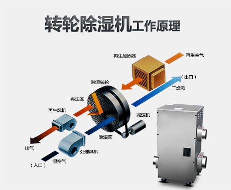 世界過敏性疾病日，新風系統保持室內干燥清爽