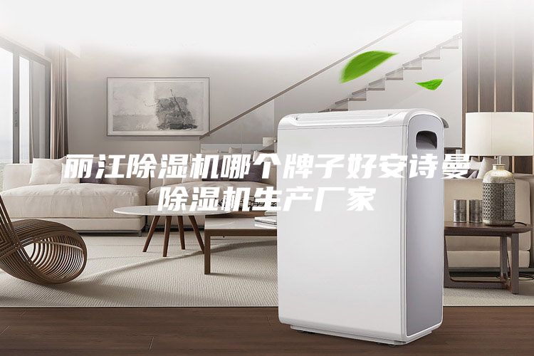麗江除濕機哪個牌子好安詩曼除濕機生產(chǎn)廠家