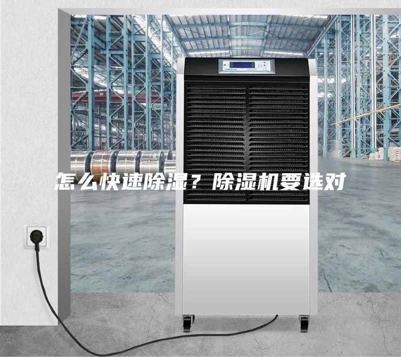 怎么快速除濕？除濕機要選對